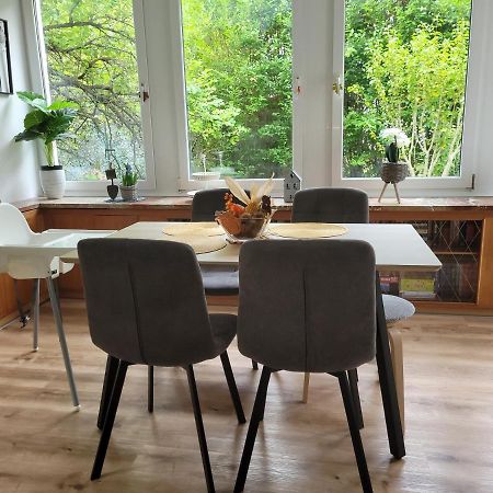 Family Apartment Linz Wohnen Mit Garten Am Fusse Des Poestlingbergs Top Lage Villenviertel Esterno foto