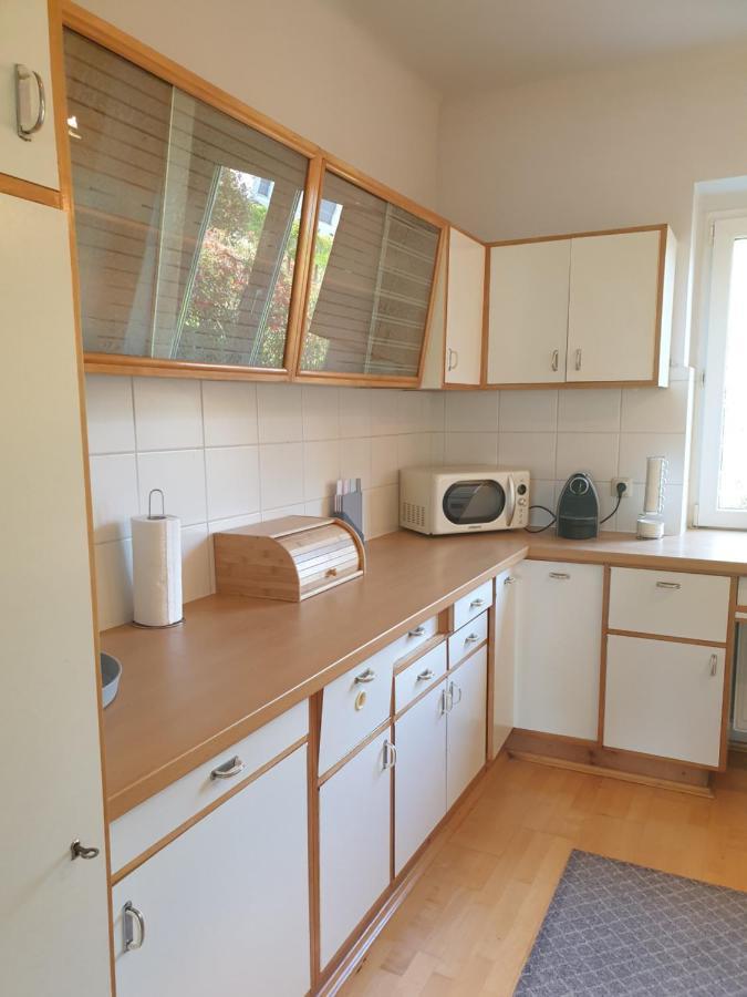 Family Apartment Linz Wohnen Mit Garten Am Fusse Des Poestlingbergs Top Lage Villenviertel Esterno foto