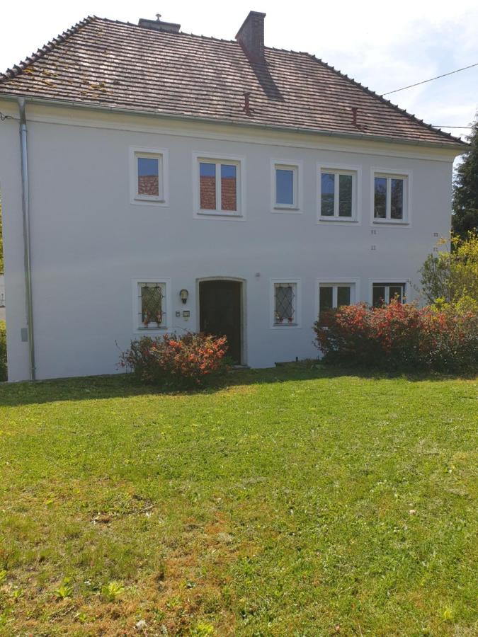 Family Apartment Linz Wohnen Mit Garten Am Fusse Des Poestlingbergs Top Lage Villenviertel Esterno foto