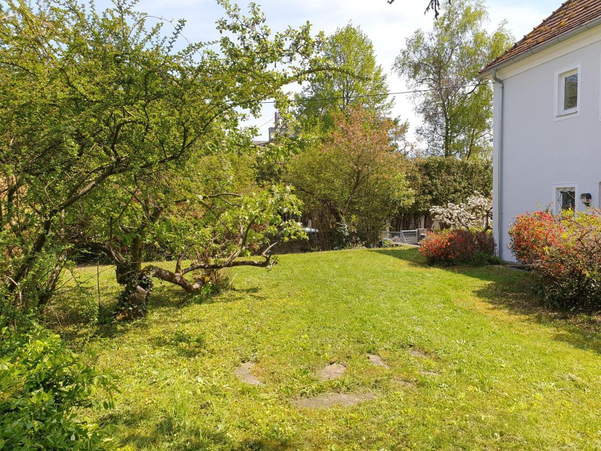 Family Apartment Linz Wohnen Mit Garten Am Fusse Des Poestlingbergs Top Lage Villenviertel Esterno foto