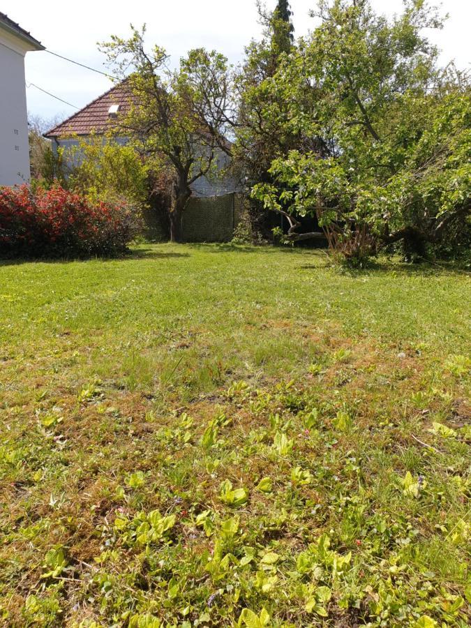 Family Apartment Linz Wohnen Mit Garten Am Fusse Des Poestlingbergs Top Lage Villenviertel Esterno foto