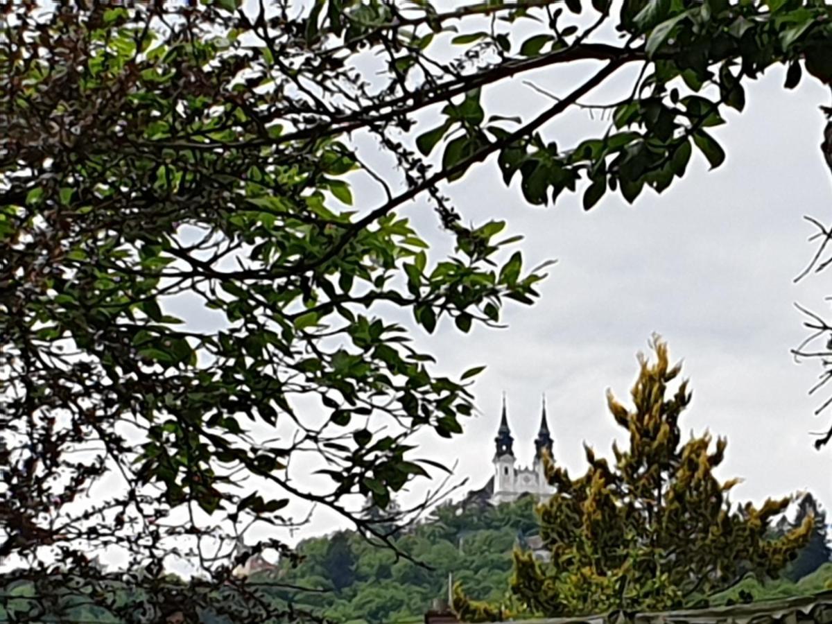 Family Apartment Linz Wohnen Mit Garten Am Fusse Des Poestlingbergs Top Lage Villenviertel Esterno foto