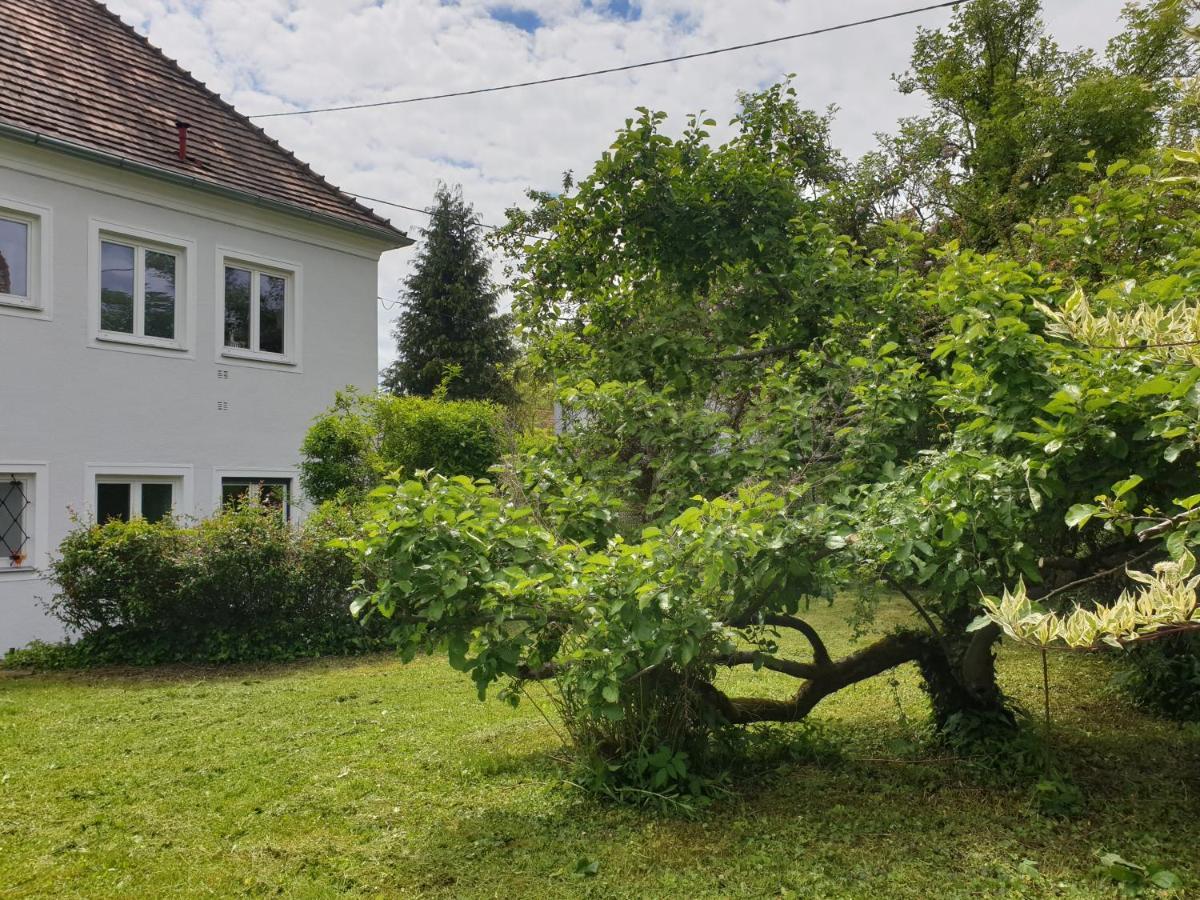 Family Apartment Linz Wohnen Mit Garten Am Fusse Des Poestlingbergs Top Lage Villenviertel Esterno foto
