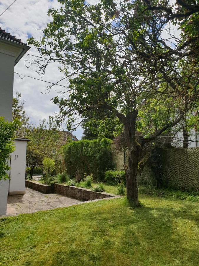 Family Apartment Linz Wohnen Mit Garten Am Fusse Des Poestlingbergs Top Lage Villenviertel Esterno foto