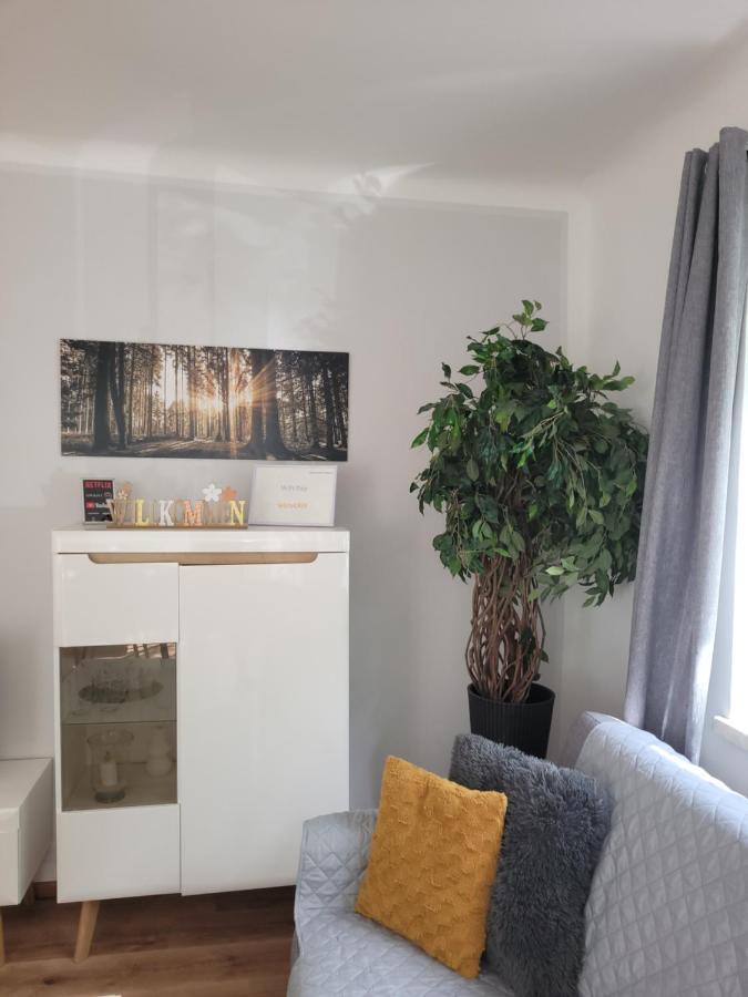 Family Apartment Linz Wohnen Mit Garten Am Fusse Des Poestlingbergs Top Lage Villenviertel Esterno foto