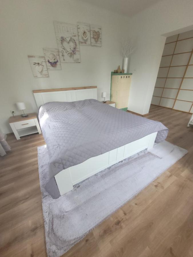 Family Apartment Linz Wohnen Mit Garten Am Fusse Des Poestlingbergs Top Lage Villenviertel Esterno foto
