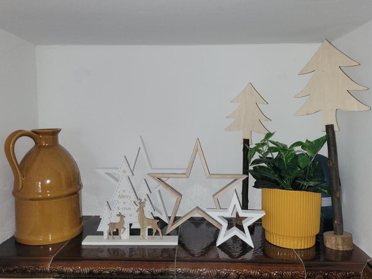 Family Apartment Linz Wohnen Mit Garten Am Fusse Des Poestlingbergs Top Lage Villenviertel Esterno foto